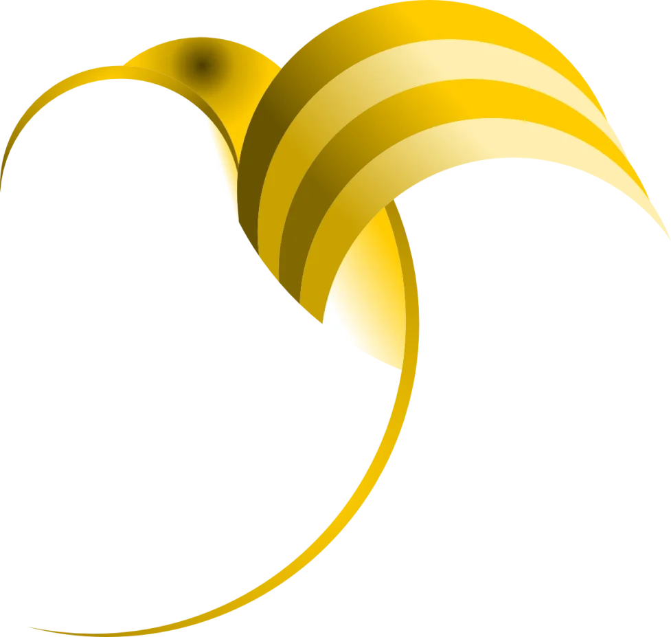 Strony internetowe Web Design Projekty Graficzne Wrocław Głogów